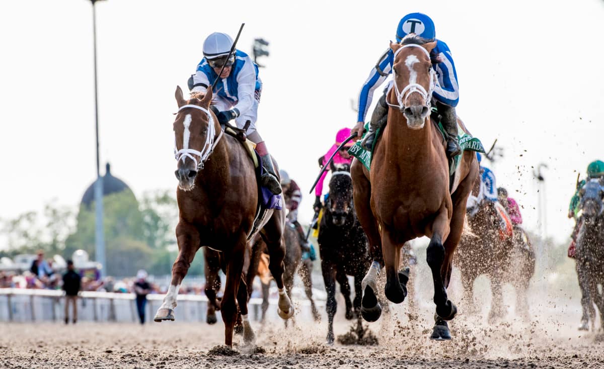 By My Standards | 2019 Louisiana Derby G2 | Scott Serio/Eclipse Sportswire/CSM