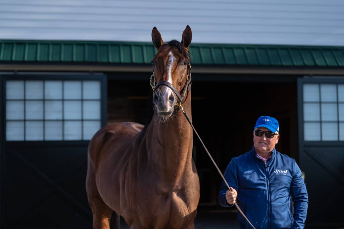 Jackie's Warrior arrives to Spendthrift November of 2022 | Nicole Finch photo