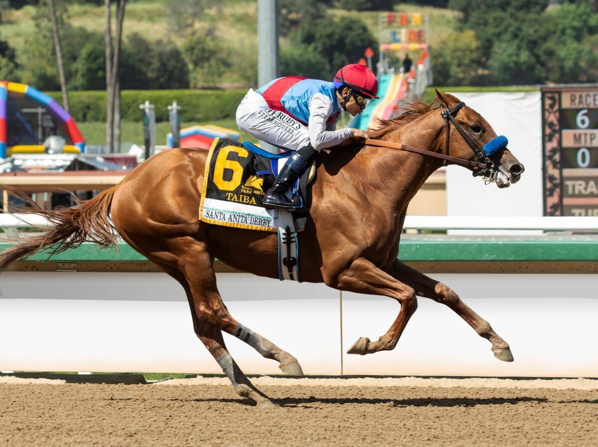 Taiba | 2022 Santa Anita Derby-G1 | Benoit photo