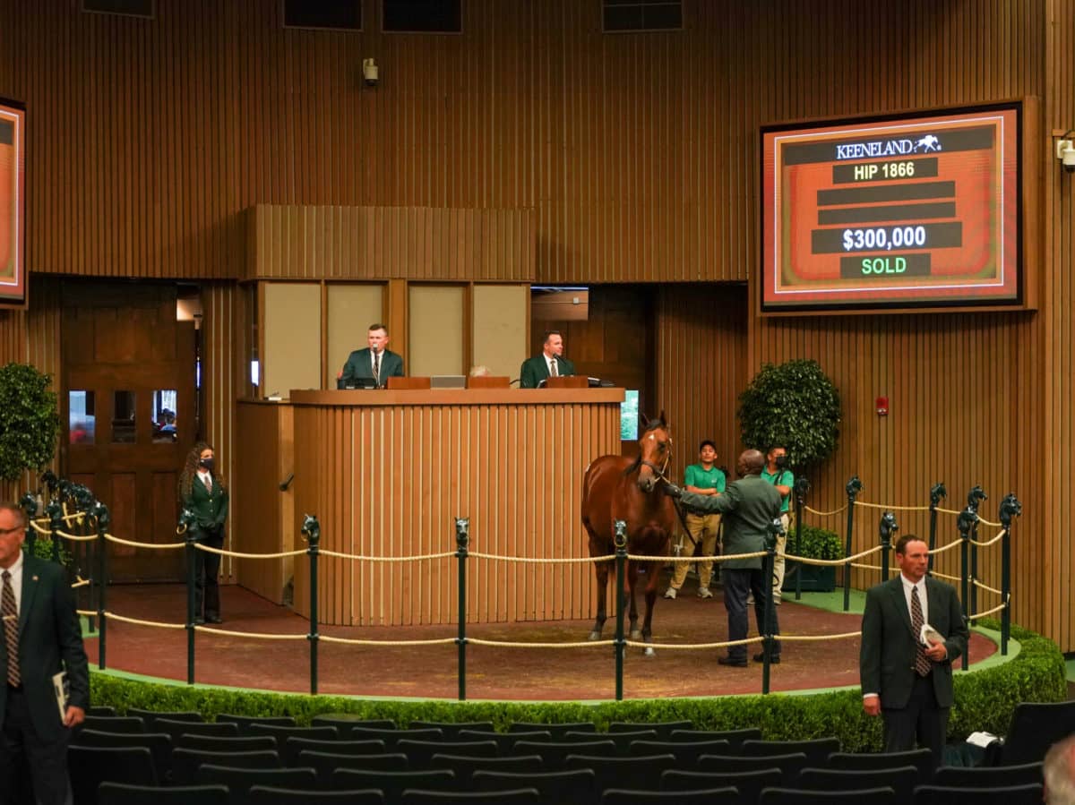 $300,000 | Hip 1866 colt o/o Earth Shaking | Purchased by West Bloodstock | Keeneland September 2021 | Mathea Kelly Photo