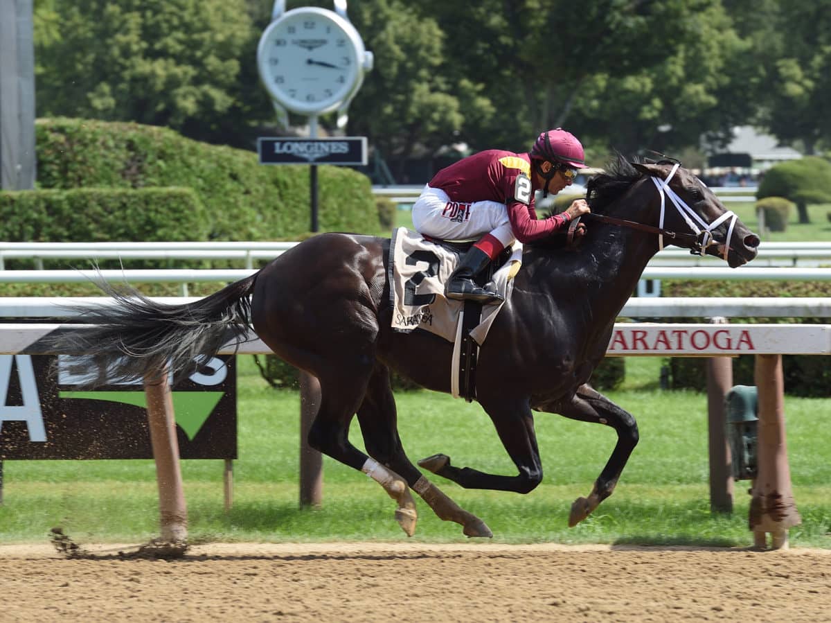 Coal Front | 2017 Amsterdam S. G2 | NYRA Photo