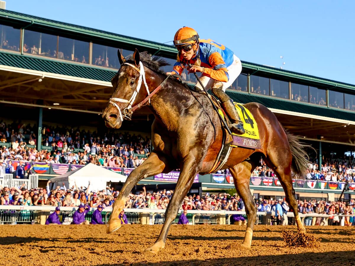 Forte | 2022 Breeders' Cup Juvenile-G1 | Breeders’ Cup/Eclipse Sportswire Photo ©