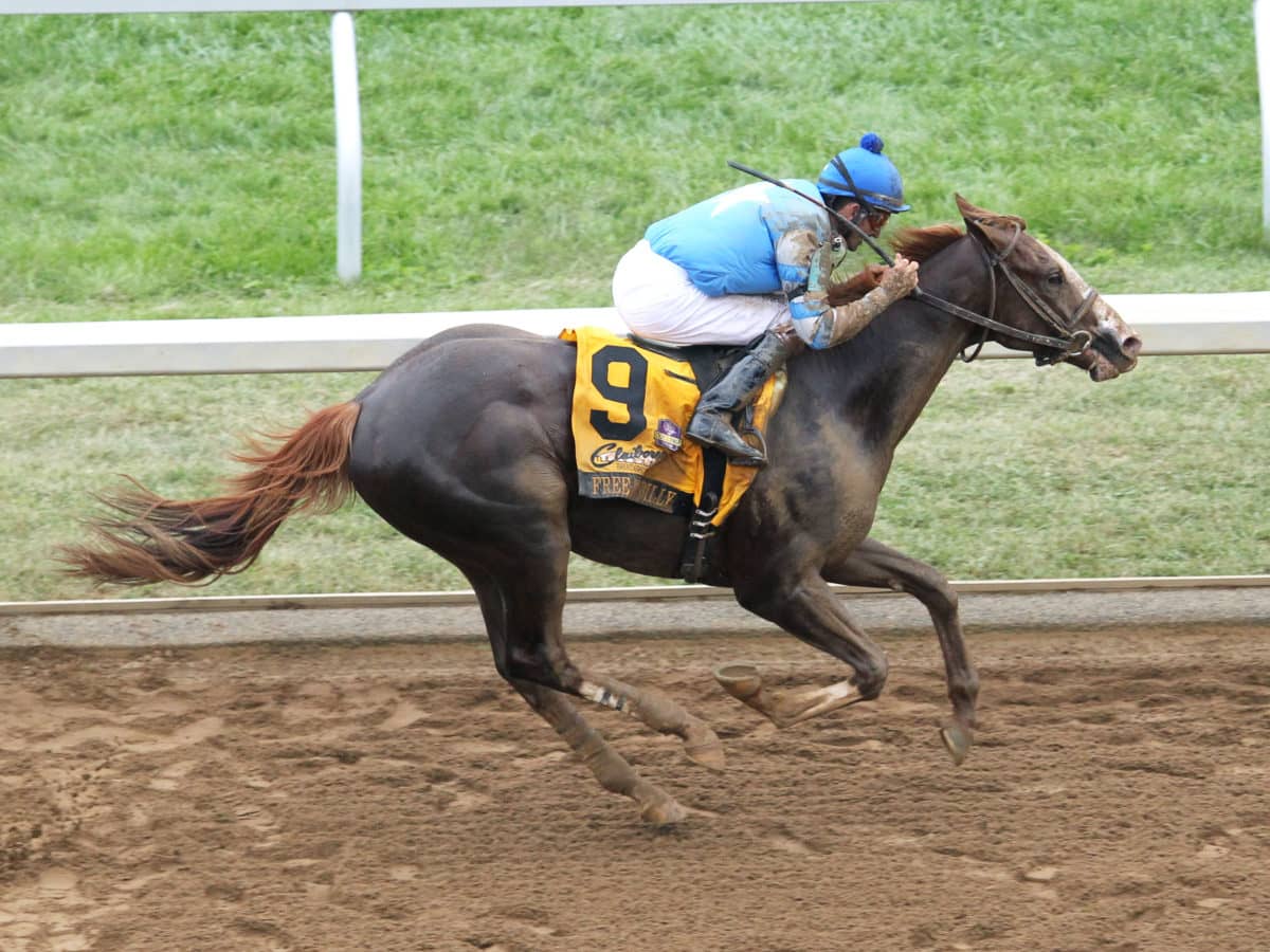 Free Drop Billy - 2017 Breeders' Futurity-G1 aerial from Keeneland | Coady photo