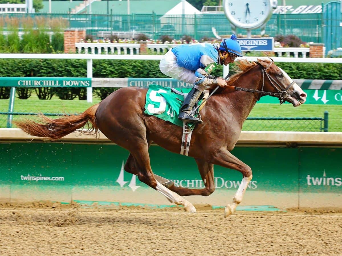 Free Drop Billy 2017 MSW | Churchill Downs