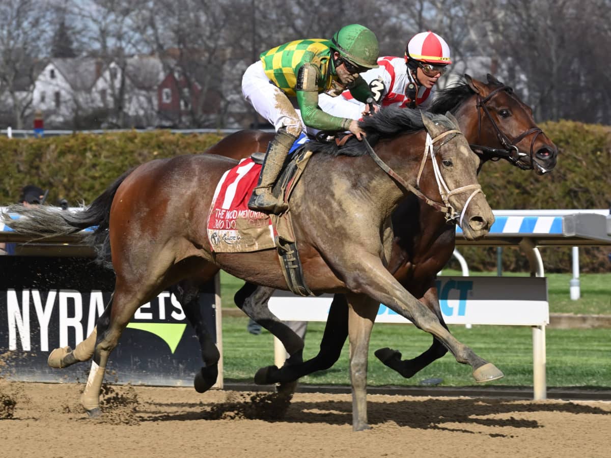Mo Donegal | 2022 Wood Memorial Stakes-G2, shown defeating Early Voting | NYRA photo