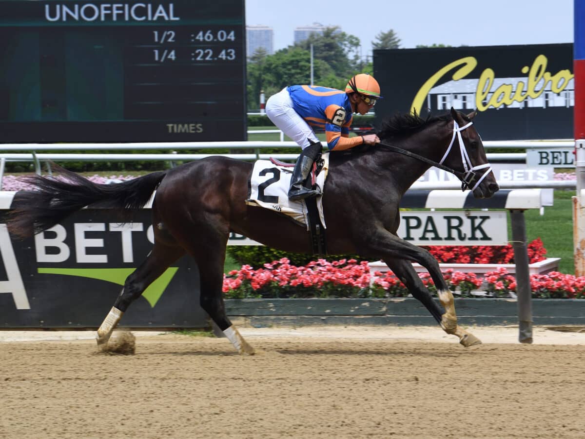 Forte | 2022 MdSpWt at Belmont | *TDN Rising Star* | NYRA photo
