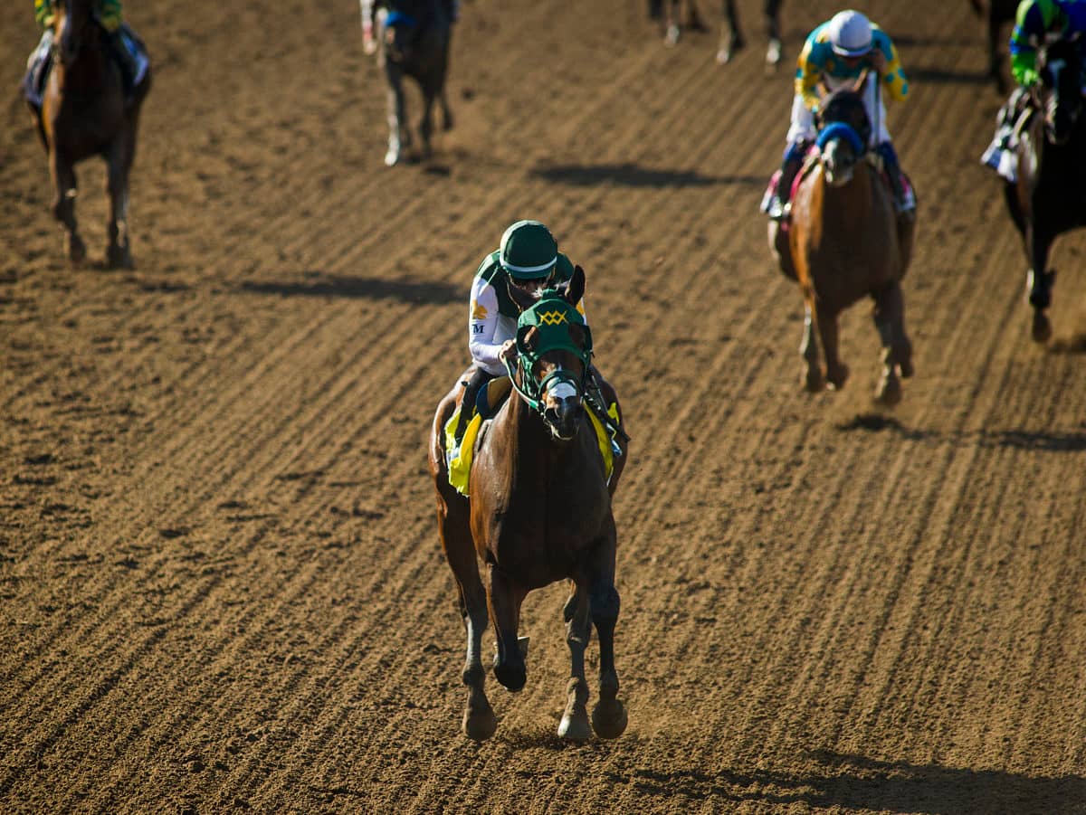 Bolt d'Oro 2017 FrontRunner G1