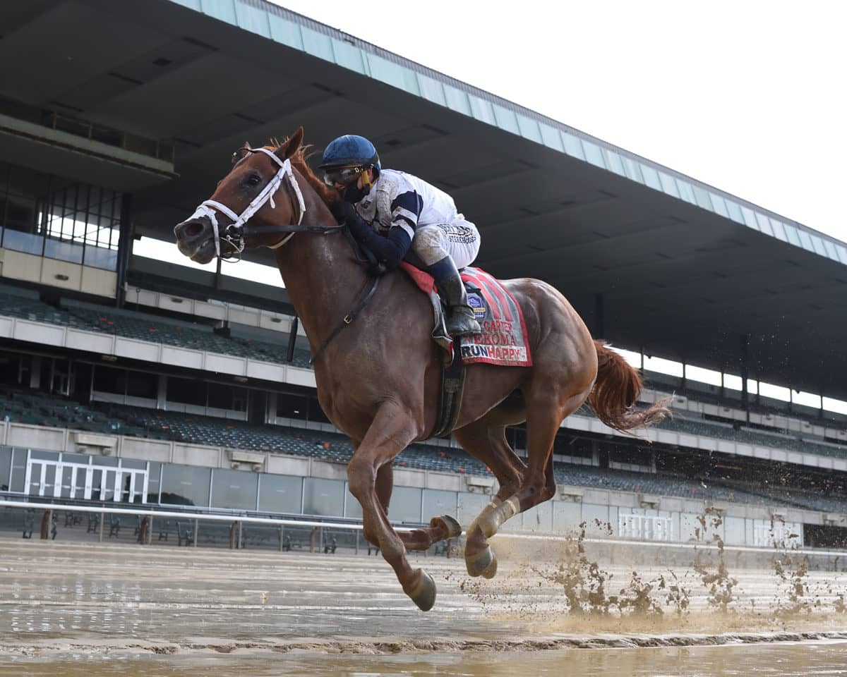 Vekoma | G1 Carter Handicap 2020 | NYRA Photo