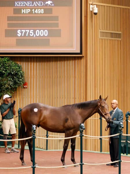 $775,000 at '23 KEESEP | Colt o/o Summer of Fun | Purchased by St. Elias Stables/Talla Racing/Spendthrift Farm | Z photo