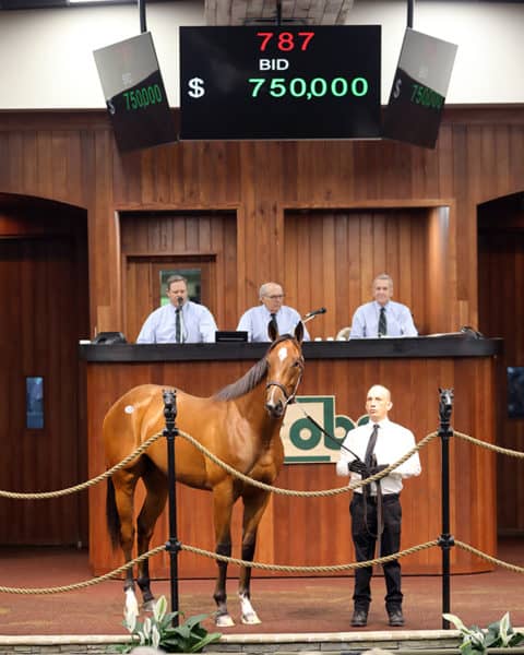 Into Mischief’s $750,000 filly, hip No. 787, at the 2019 OBS Spring Sale of 2-year-olds – photo by Z