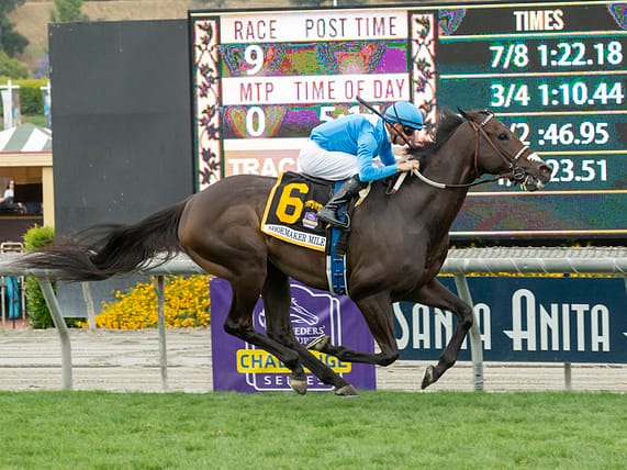 Bolo wins the $500,000 Shoemaker Mile-G1 to become his sire's third G1 winner | Benoit photo