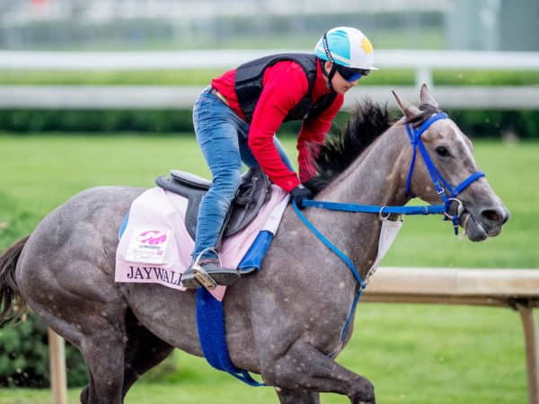 Champion Jaywalk trains at Churchill for the 2019 Kentucky Oaks | Eclipse Sportswire photo