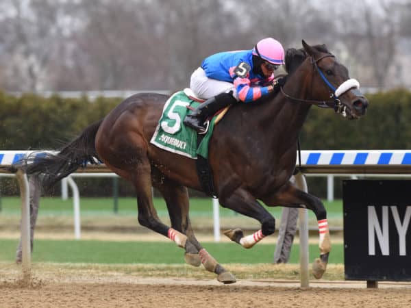 Come Dancing earns a 114 Beyer - fastest in North America so far in 2019