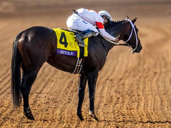 Mitole becomes the only 4-time G1-winning male on dirt in 2019 | Eclipse Sportswire photo