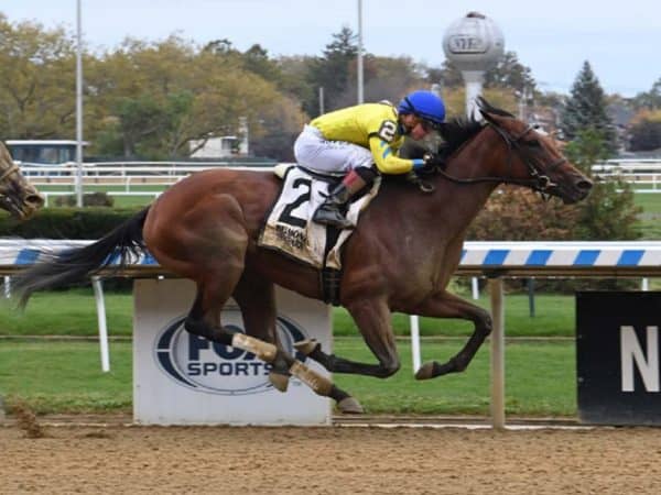 Anywho glides to a debut MdSpWt win on Oct. 23, 2022 at Aqueduct - NYRA photo