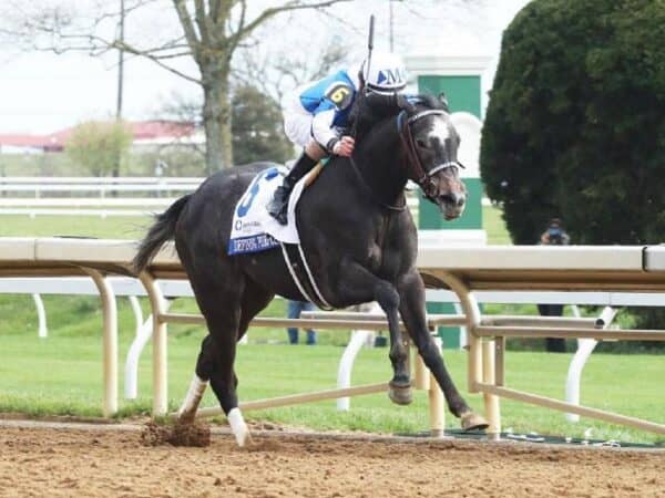 Defining Purpose prevails in the 2023 Ashland S. (G1) - Coady photography