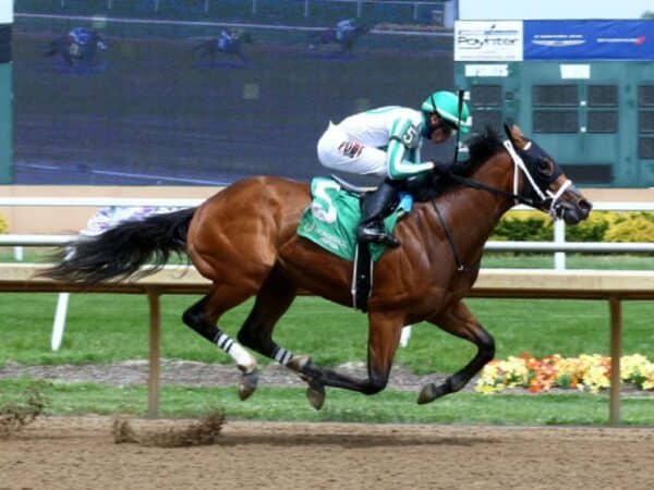 Laugh Now, Vino Rosso's first winner, scores by two lengths May 15 at Horseshoe Indianapolis - Coady photography