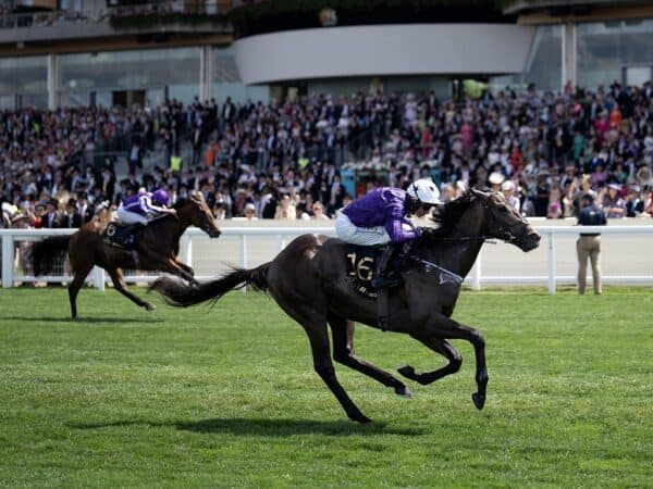 Valiant Force, bred by Spendthrift Farm and R. J. Rangel, win the 2023 Norfolk S. (G2) at Royal Ascot - Racing Post photo