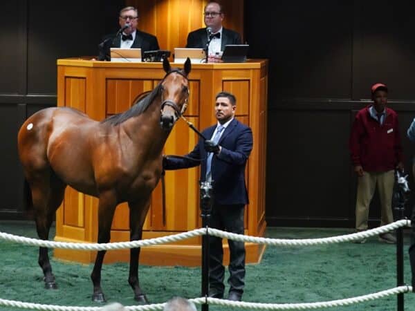 Vekoma's $250,000 filly, hip 82, at the 2023 Fasig-Tipton Selected Yearling Sale - photo by Z