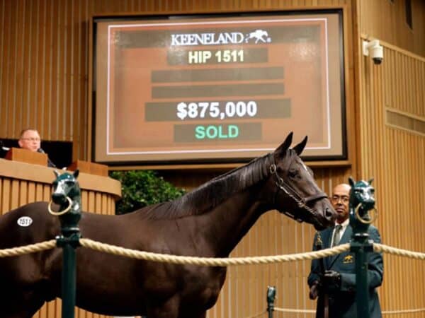 Authentic's Sept. 16 session topper at Keeneland - Keeneland photo