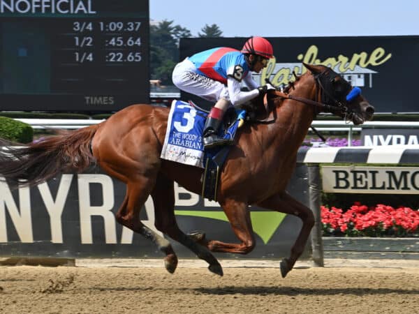 Arabian Lion is the first G1 winner by Triple Crown winner Justify to retire to stud | NYRA photo