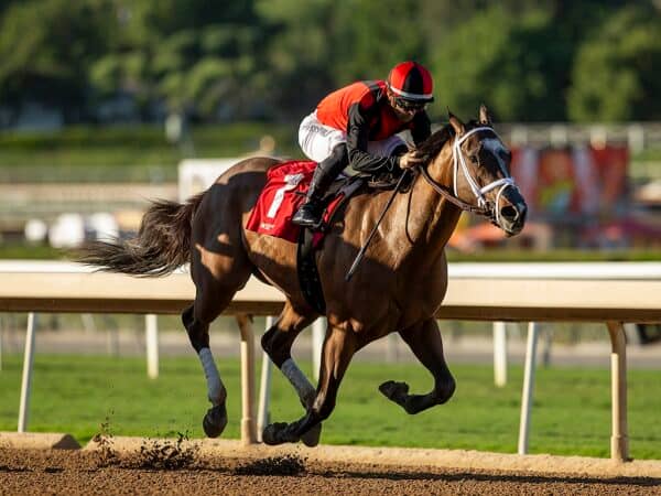 Sandy Bottom and jockey Umberto Rispoli win the $85,000 Anoakia Stakes Saturday, October 21, 2023 at Santa Anita Park, Arcadia, CA. Benoit Photo