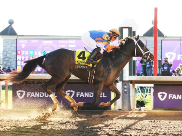 Forte becomes the first Champion 2-Year-Old to retire to Spendthrift in over 40 years since Seattle Slew, Affirmed and Lord Avie | Coady photo