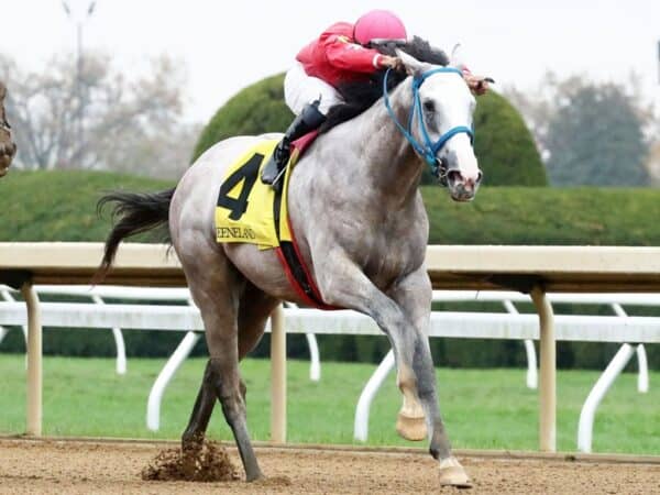 Glengarry gets his second straight stakes in the $200,000 Bowman Mill S. at Keeneland - Coady photo