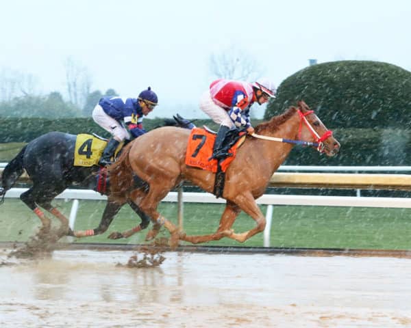 Secretly Wicked, Wicked Strong's first ever starter, wins on debut at Keeneland | Coady photo