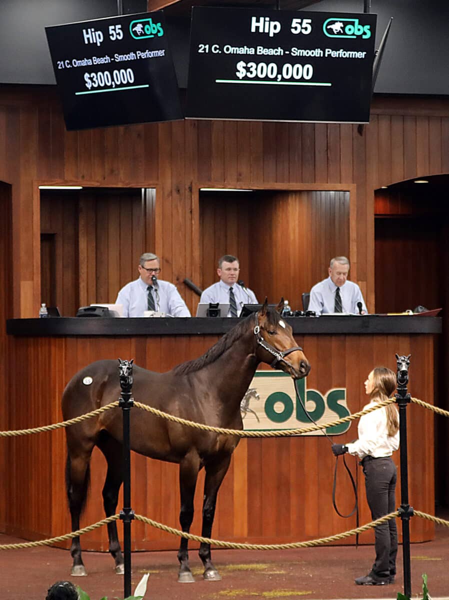 $300,000 | Colt o/o Smooth Performer | Purchased by Bradley Thoroughbreds Agt for Jay Hanley | '23 OBSMAR | Z photo
