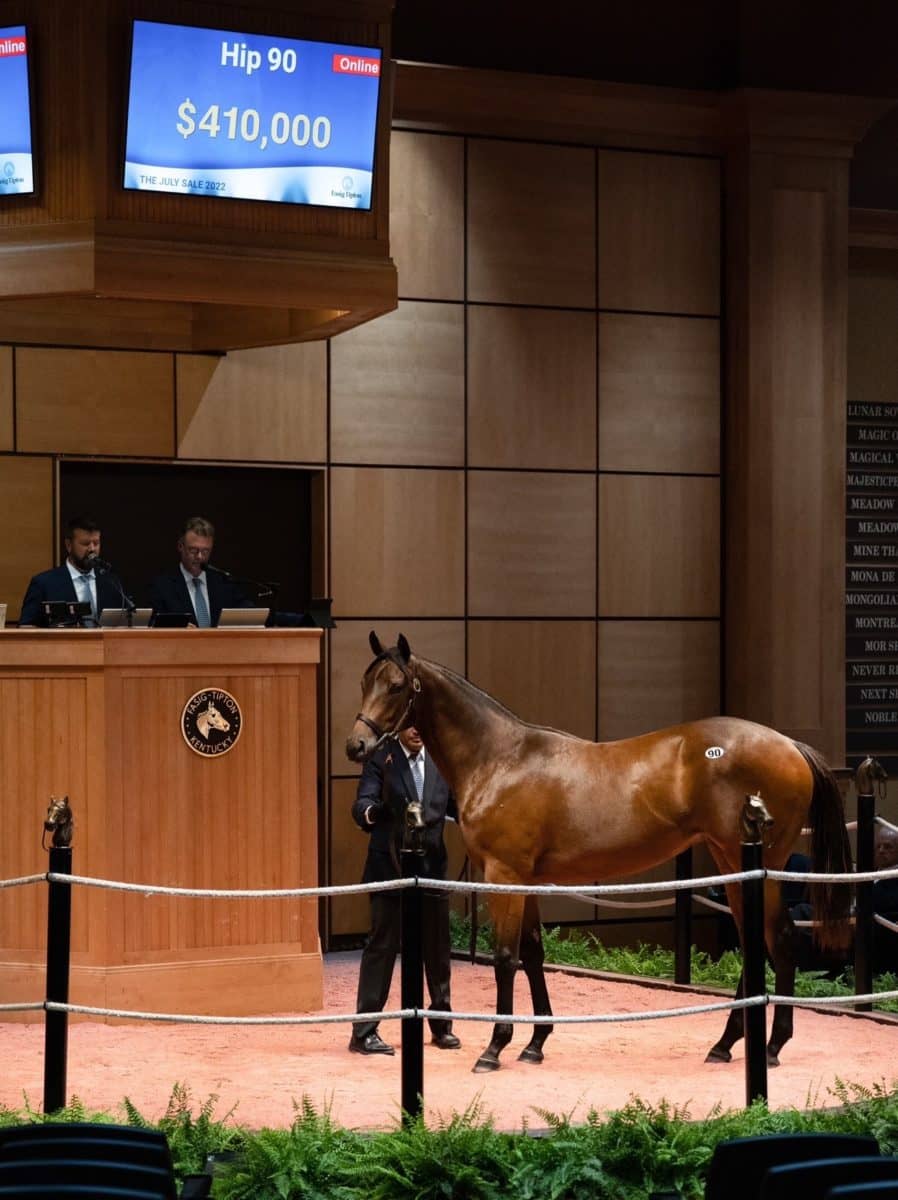 $410,000 | Hip 90, filly o/o Gas Station Sushi | Purchased by Solis/Litt | F-TJUL 22 | Nicole Finch photo