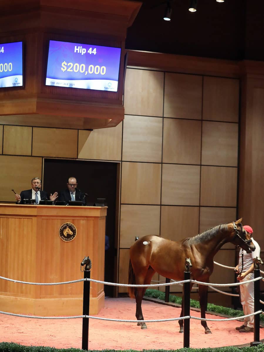 $200,000 colt o/o Malibu Cove | 2021 Fasig-Tipton July Yearlings | Purchased by Woodford Thoroughbreds