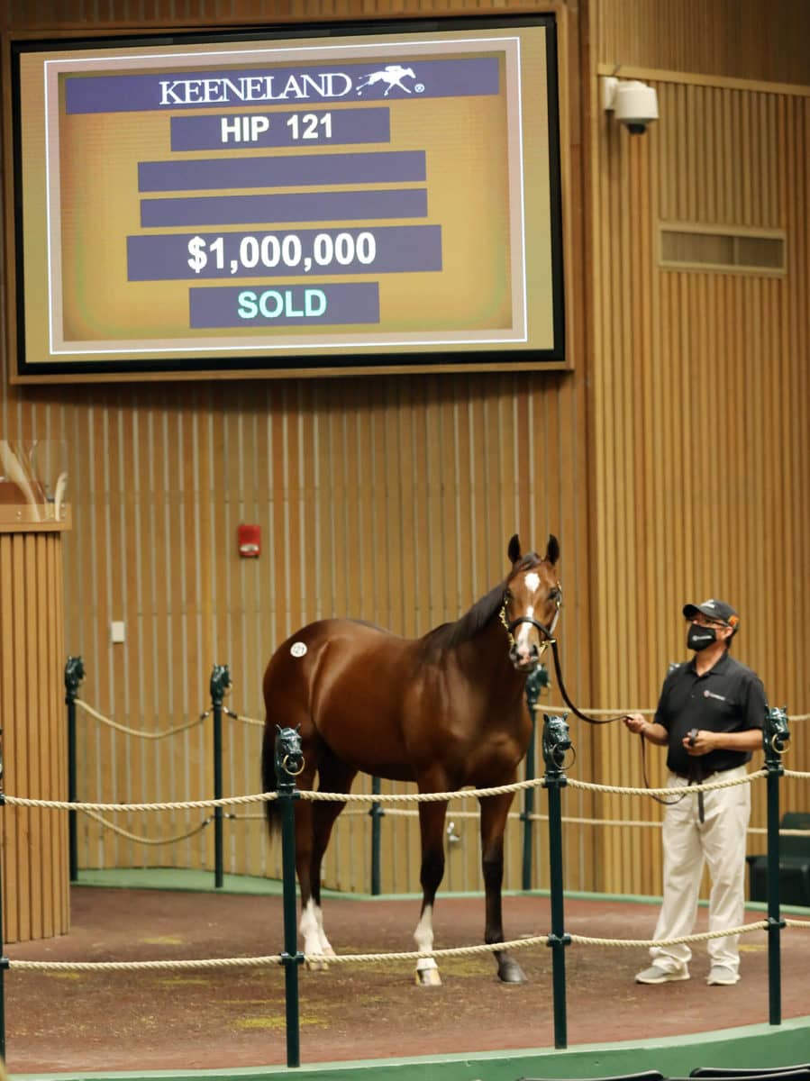 Hip 121 $1,000,000 colt o/o Curlina | Purchased by OXO Equine | 2020 KEESEP | Z photo