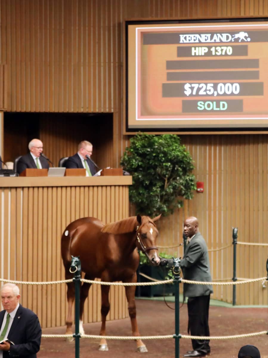 $725,000 | Colt o/o Color Me Flying | Purchased by St. Elias Stables | '22 KEESEP | Nicole Finch photo