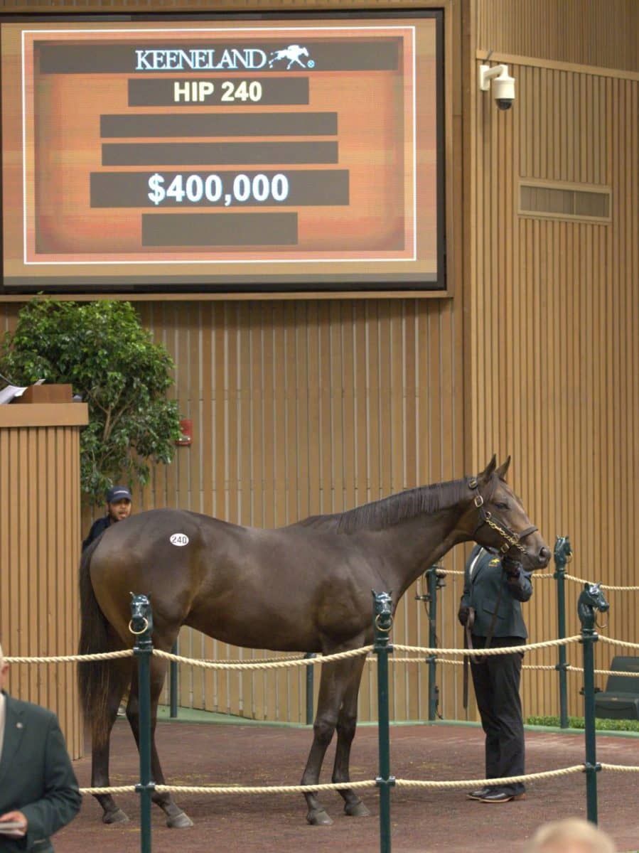 $400,000 | Colt o/o Fair Huntress | Purchased by Repole Stable & St. Elias Stables | '22 KEESEP | Nicole Finch photo