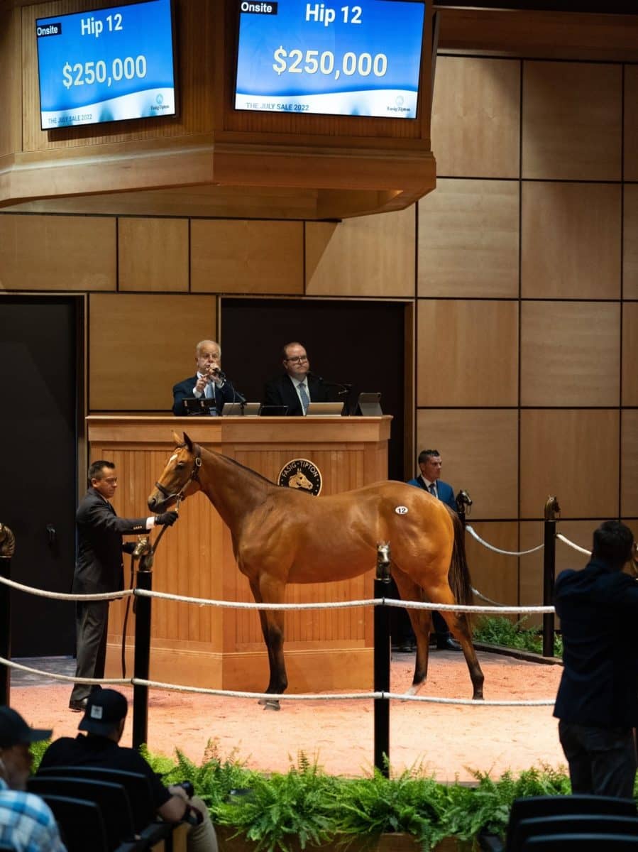 $250,000 | Hip 12, filly o/o Lunarlady | Purchased by Chenowith Run Stables | F-TJUL 22 | Nicole Finch photo
