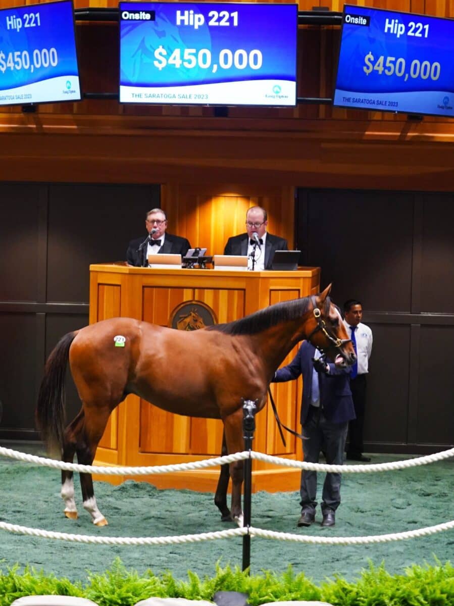 $450,000 at '23 F-T Saratoga | Colt o/o Wine Princess | Purchased by Whitehorse Stables | Z photo