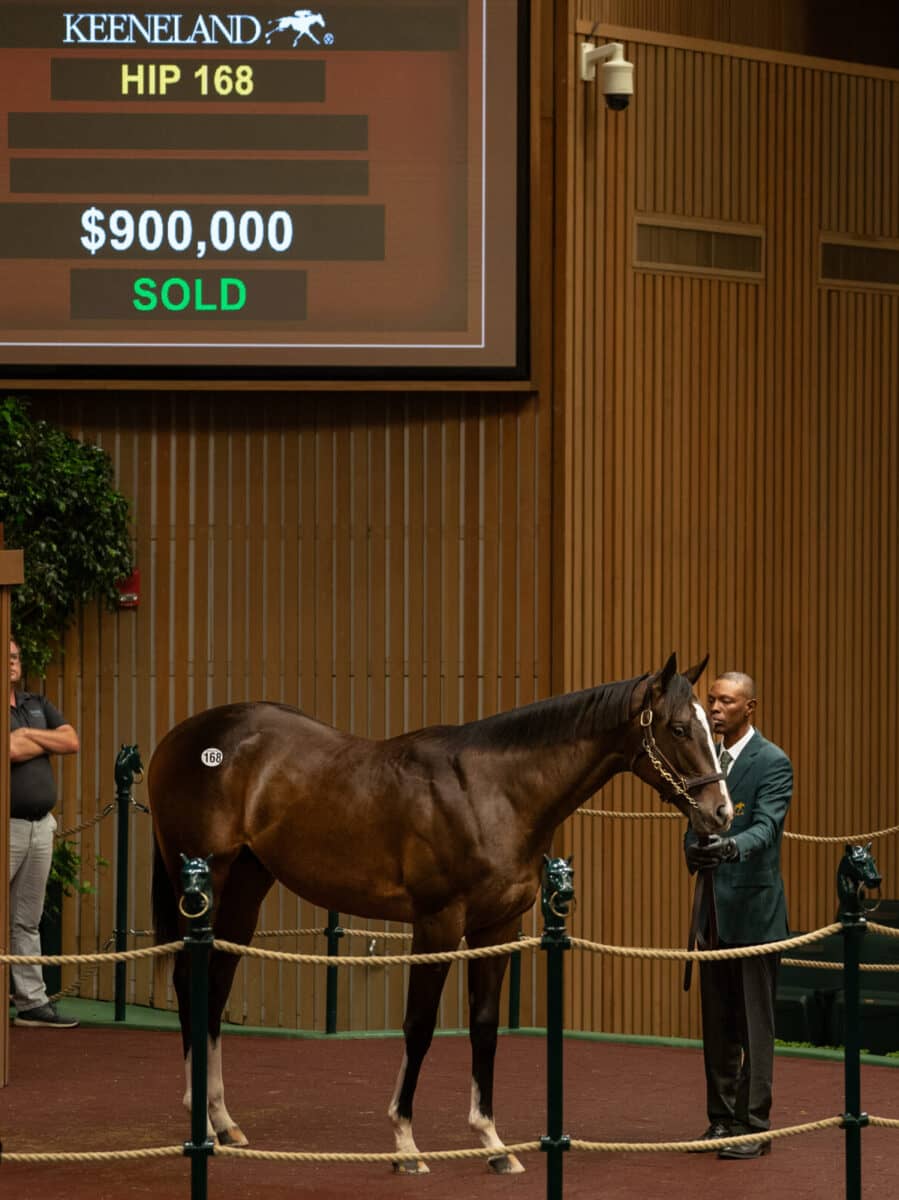 $900,000 at '23 KEESEP | Colt o/o Inspired | Purchased by BC Stables | Nicole Finch photo