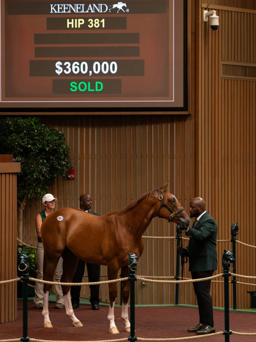 $360,000 at '23 KEESEP | Colt o/o Unbridled Empire | Purchased by Elliott/McElroy, Agt. for AMO Racing USA | Nicole Finch photo