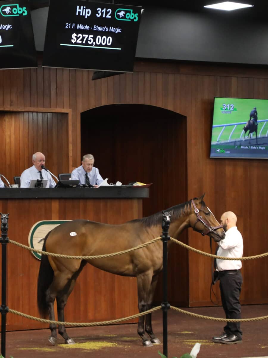 $275,000 | Filly o/o Blake's Magic | Purchased by First Row Partners | '23 OBSMAR | Z photo