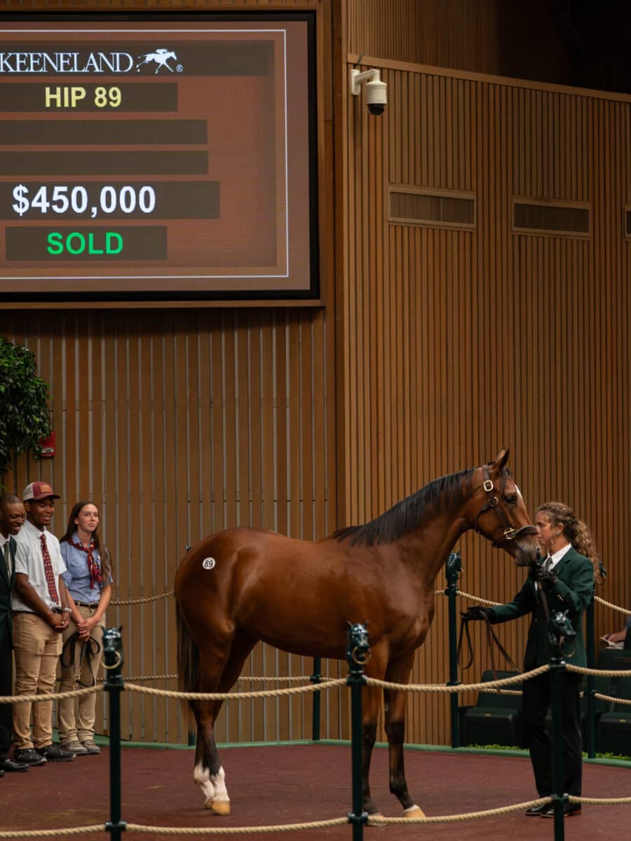 $450,000 at '23 KEESEP | Filly o/o Date to Remember | Purchased by Summer Wind Equine | Nicole Finch photo