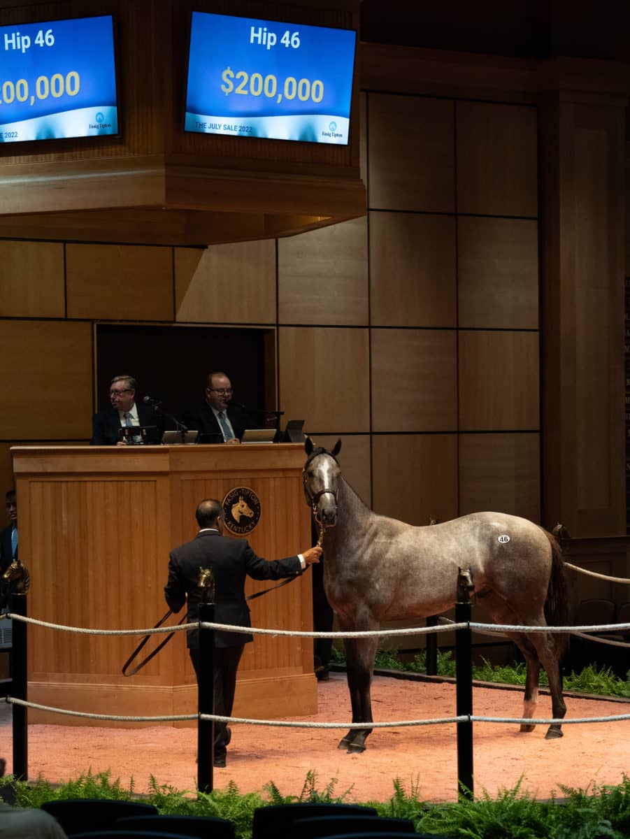 $200,000 | Hip 46 colt o/o South Andros | Purchased by Spendthrift Farm | F-TJUL22 | Nicole Finch photo