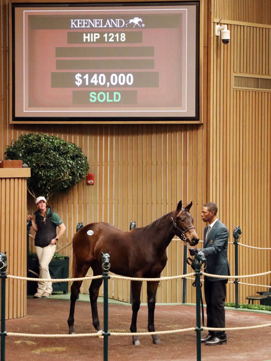 $140,000 at '22 KEENOV | Filly o/o Legacy | Purchased by J.C.M. | Z photo
