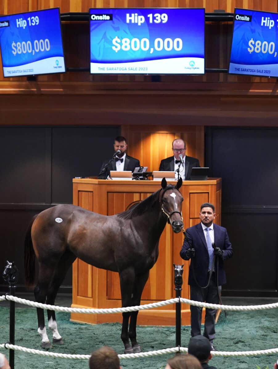 $800,000 at '23 F-T Saratoga | Filly o/o Rebelle | Purchased by BC Stables | Z photo