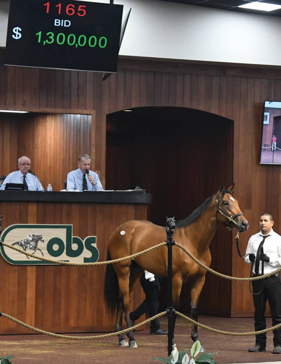 $1.3M colt o/o Dixie Song | 2019 OBS April | Tibor & Judit photo