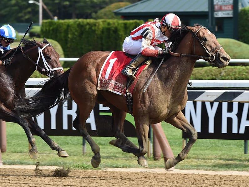 Practical Joke 2017 H. Allen Jerkens G1 | Coglianese photo