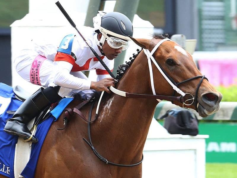 Mia Mischief 2018 Eight Belles S. G2 | Coady photo