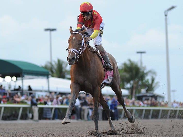 Audible 2018 Florida Derby G1 | Coglianese photo