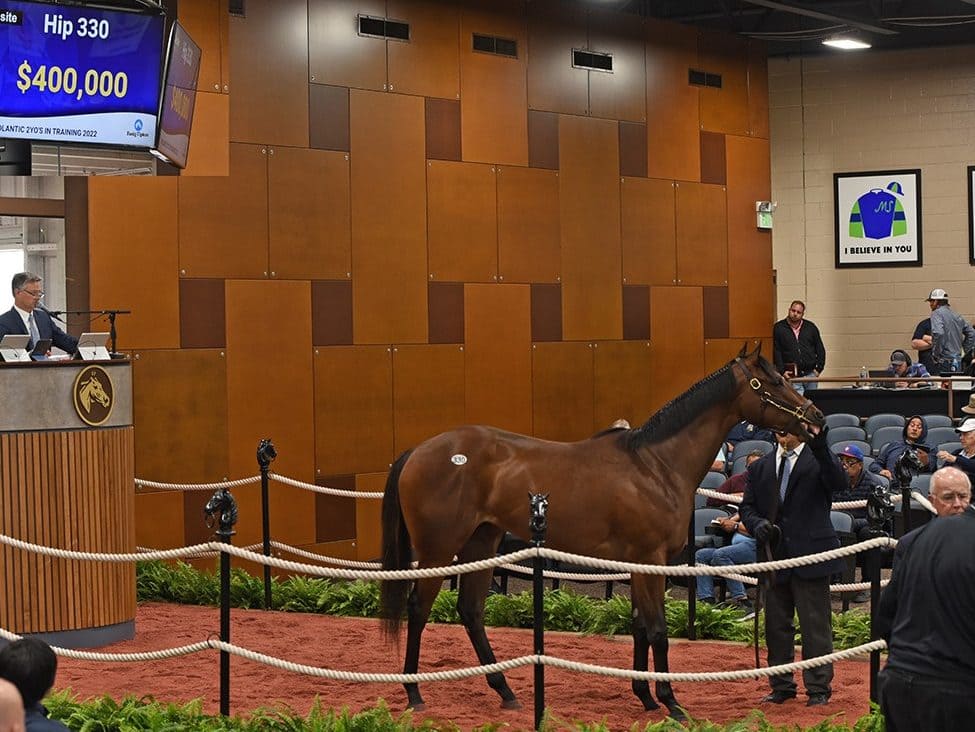 $400,000 filly | Hip 330 o/o Elbe (GB) | Purchased by Cherie DeVaux, Agent | Tibor photo