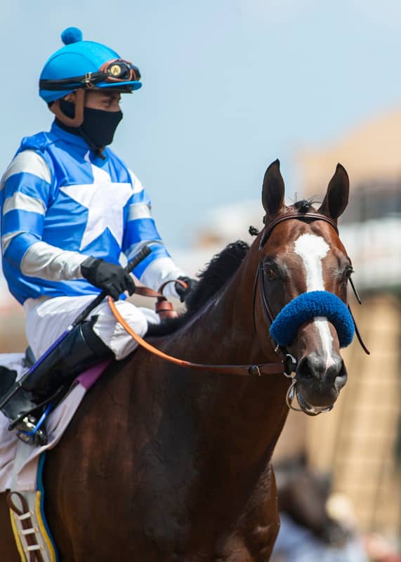 Thousand Words becomes a Top 4 choice for the 2020 KY Derby after winning the Shared Belief S. | Benoit photo